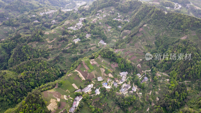 美丽大山山峰农村农业农民茶园