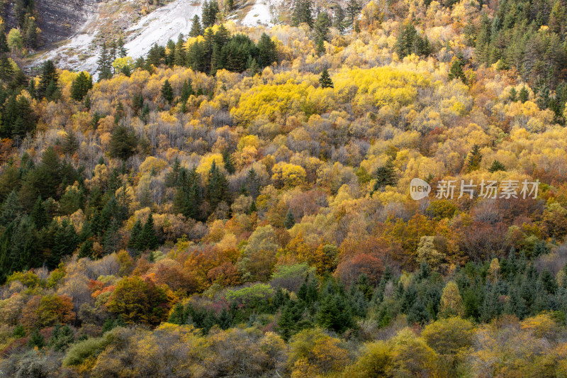 九寨沟秋色，山间层林尽染