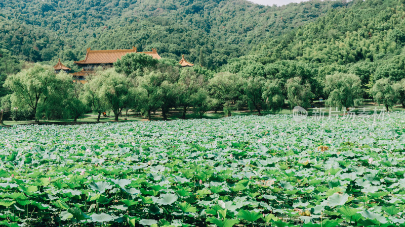 宁波天下玉苑景区