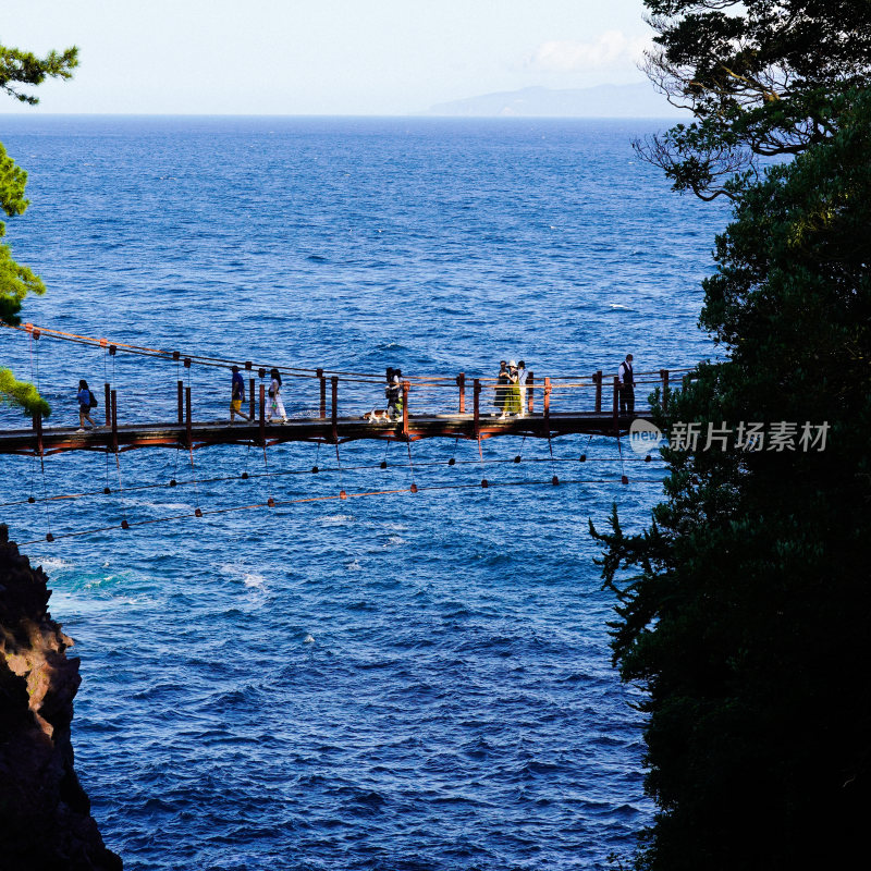 日本静冈县伊东市城崎海岸门胁吊桥一户建