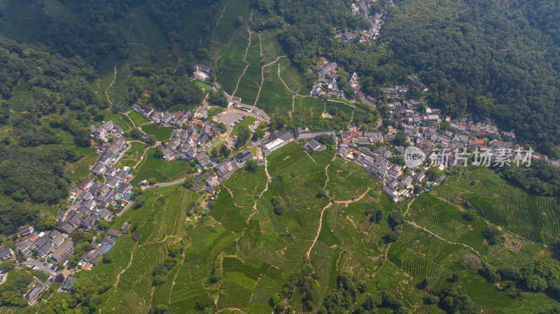 航拍杭州龙井村 西湖龙井茶园