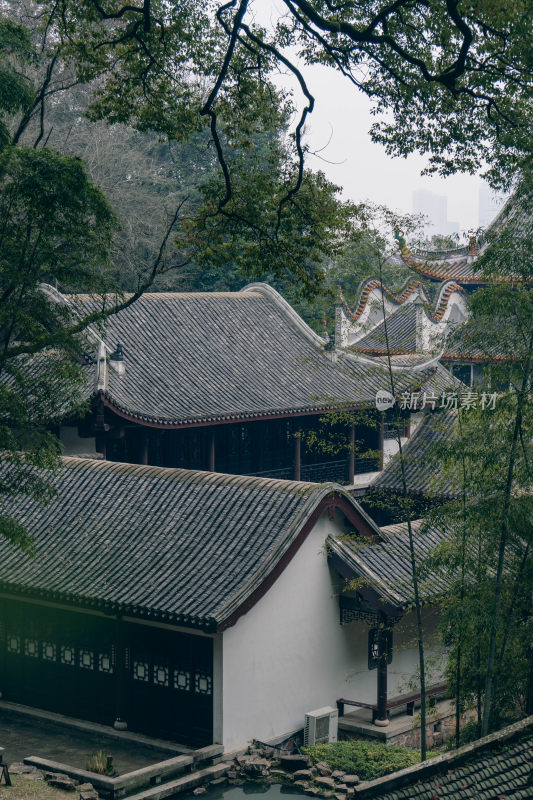 竹林下的岳麓书院