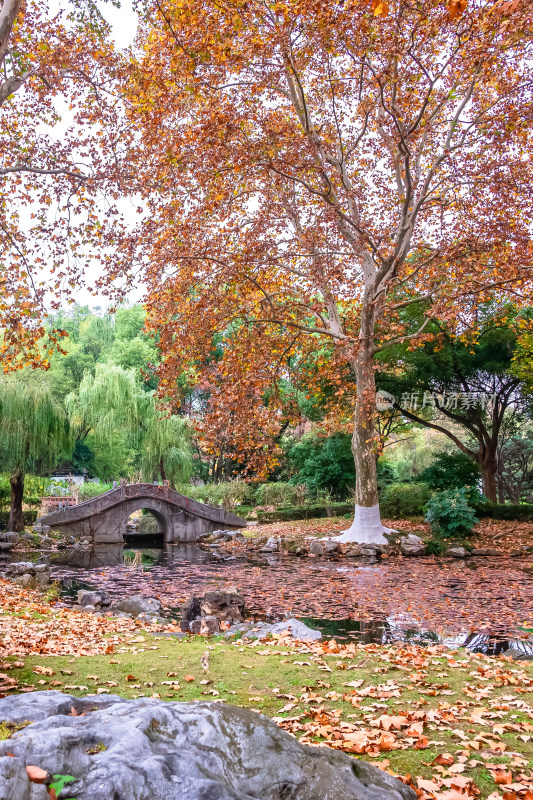 南京钟山风景名胜区明孝陵园林风景