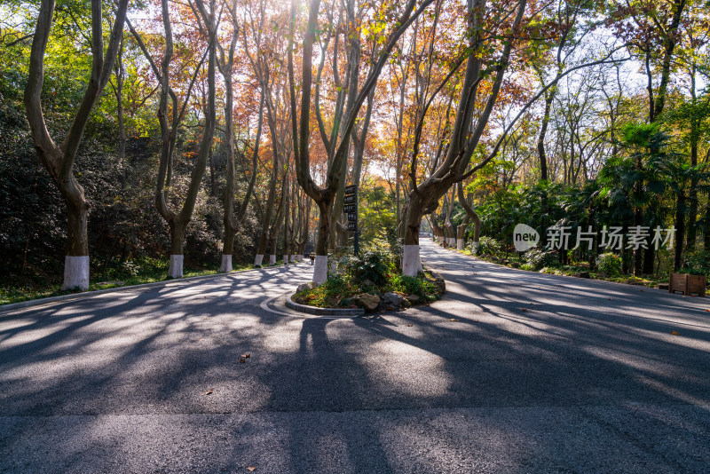 南京中山陵