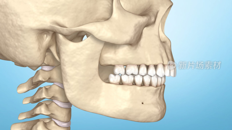 口腔整形口腔医学正畸整骨矫正下颌骨