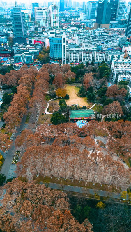 合肥古逍遥津公园城市公园湖泊秋景俯瞰