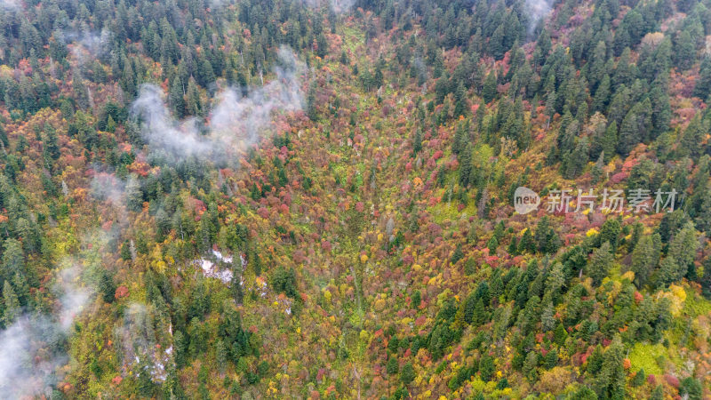 阿坝州黄龙风景名胜区秋色