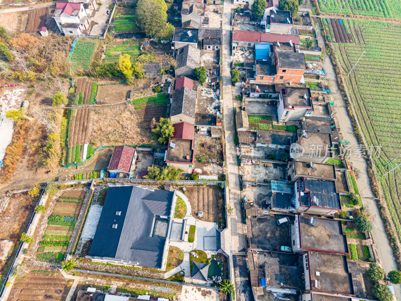 乡村农田与民居航拍景象