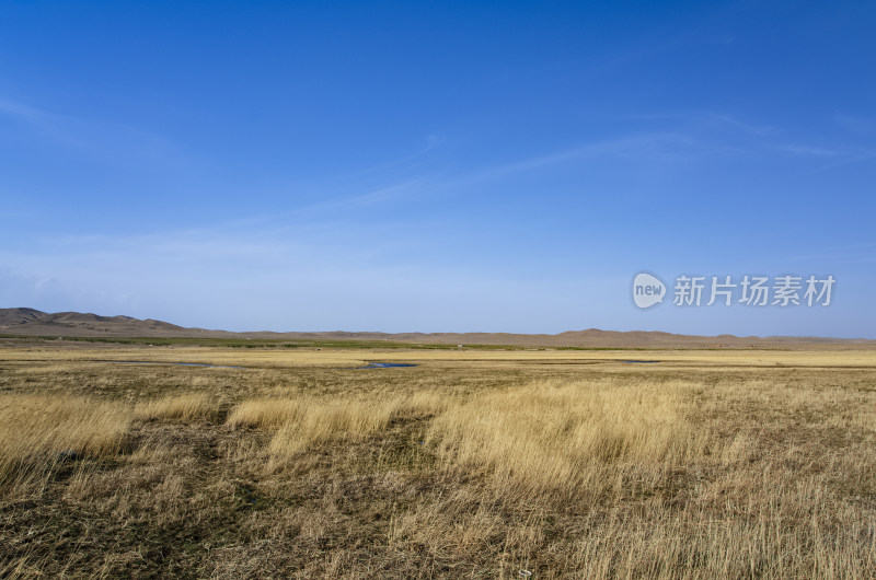 内蒙古锡林浩特锡林九曲景区草原秋色