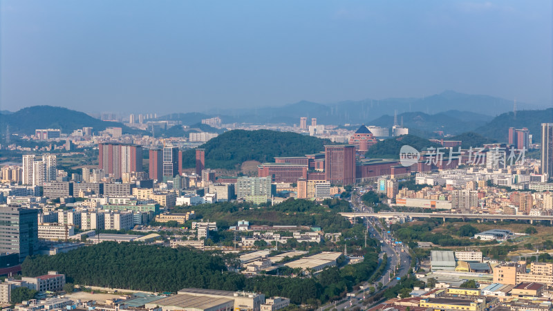 中山大学深圳校区