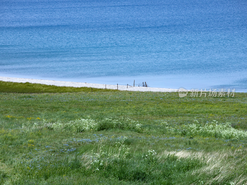 绿色草原和蓝色大海的自然风景