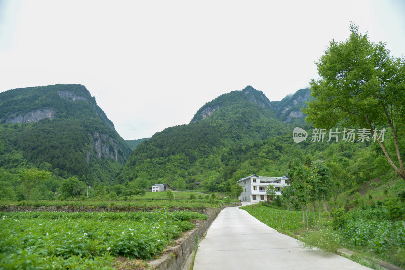 山间田园水泥路风景