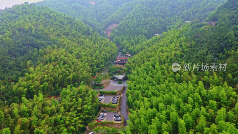 湖州莫干山竹海航拍