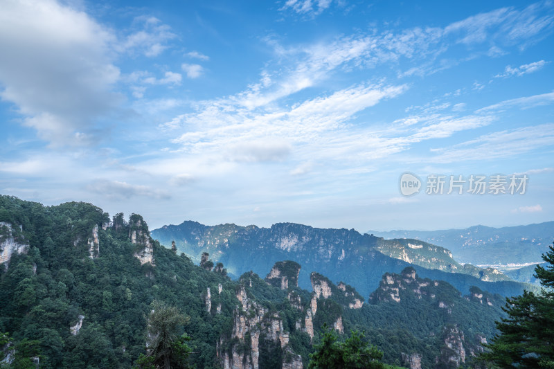 中国湖南张家界景区奇特山峰与茂密森林