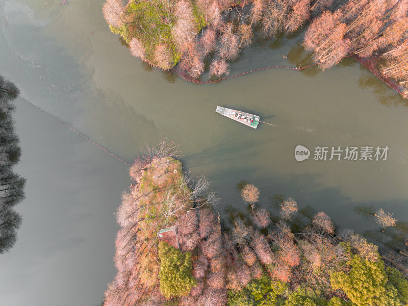 航拍苏州常熟尚湖风景区水杉林与竹筏