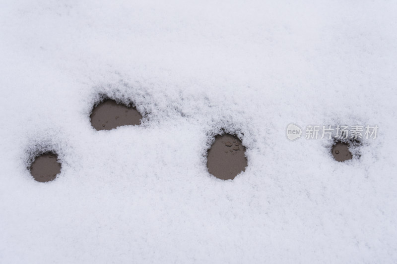 中国北方严寒的冬季降下的白雪