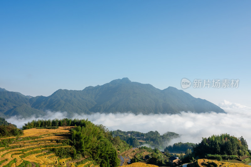 浙江丽水云和梯田景区风光