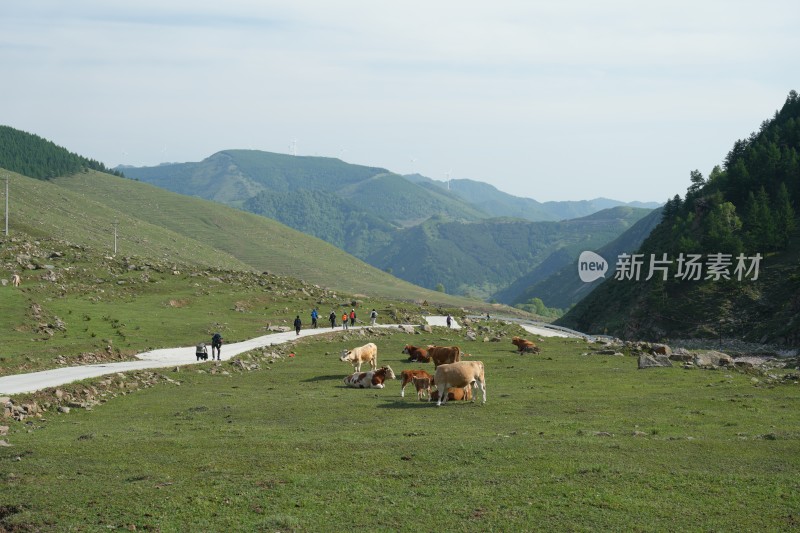 五台山南台风光