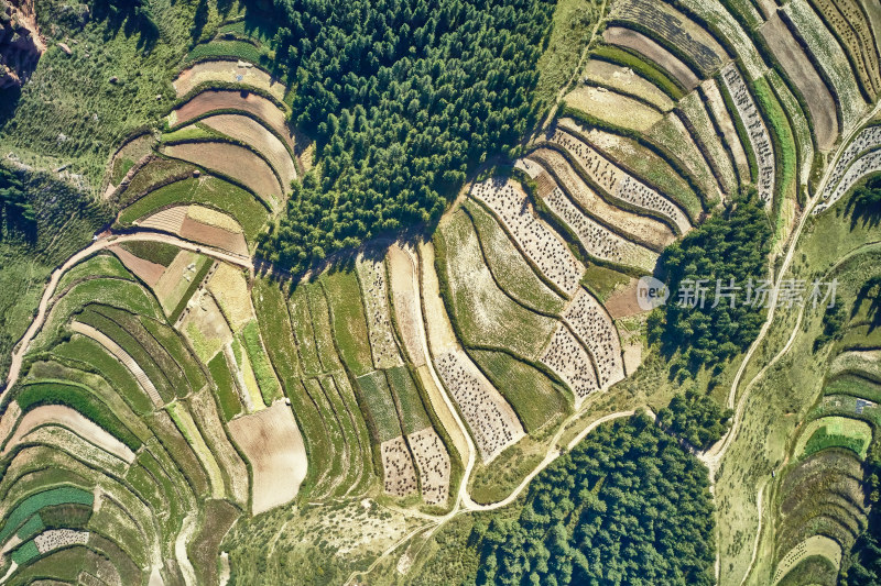 高山上的梯田