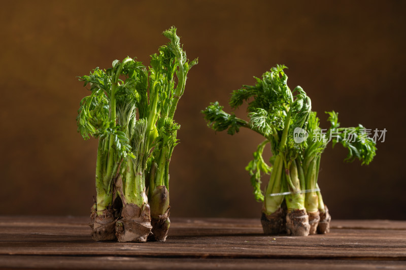 东北野菜新鲜刺嫩芽