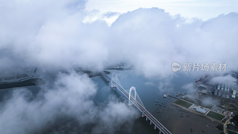 云雾中壮观的跨海大桥全景