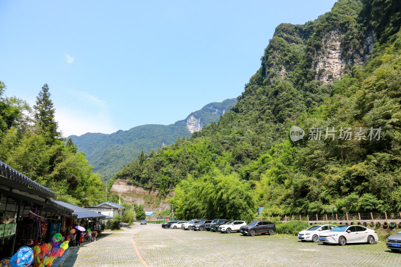 湖北宜昌三峡竹海风景区，自然风光，竹海