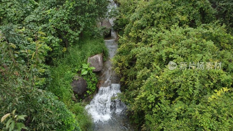 广东东莞：银瓶山树林溪涧流水潺潺