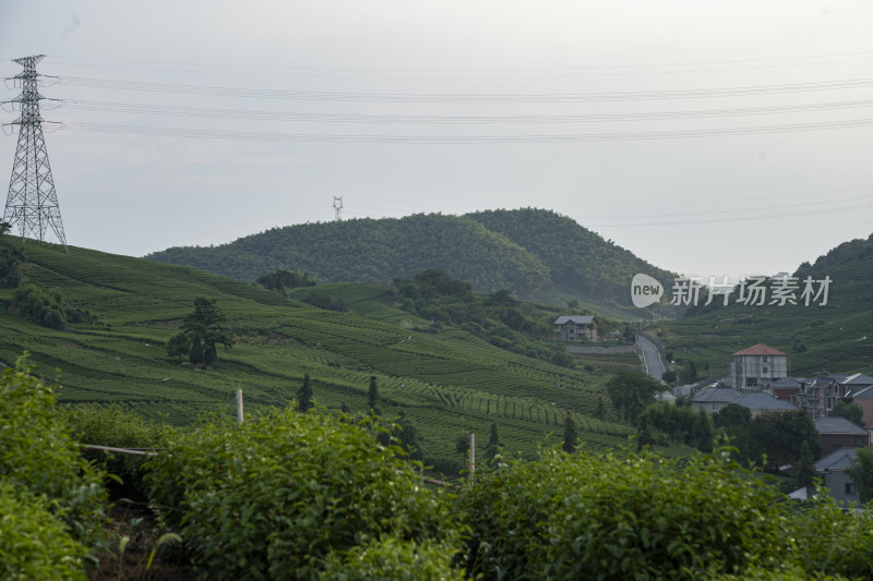 浙江杭州大朗山自然风光，在夕阳下的村庄