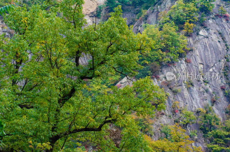 河南省洛阳白云山九龙潭秋天风景