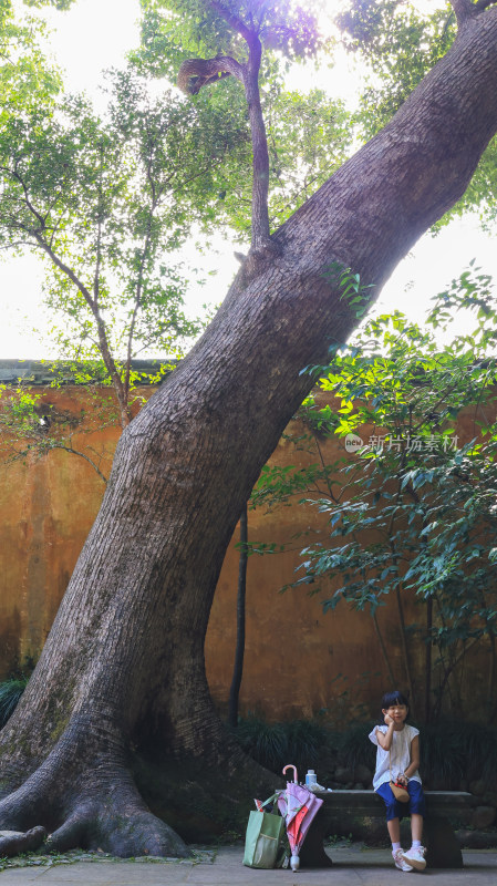 小女孩于大树下长椅休憩场景