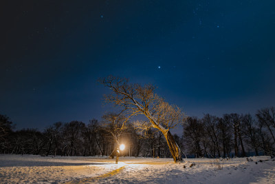 仰望星空