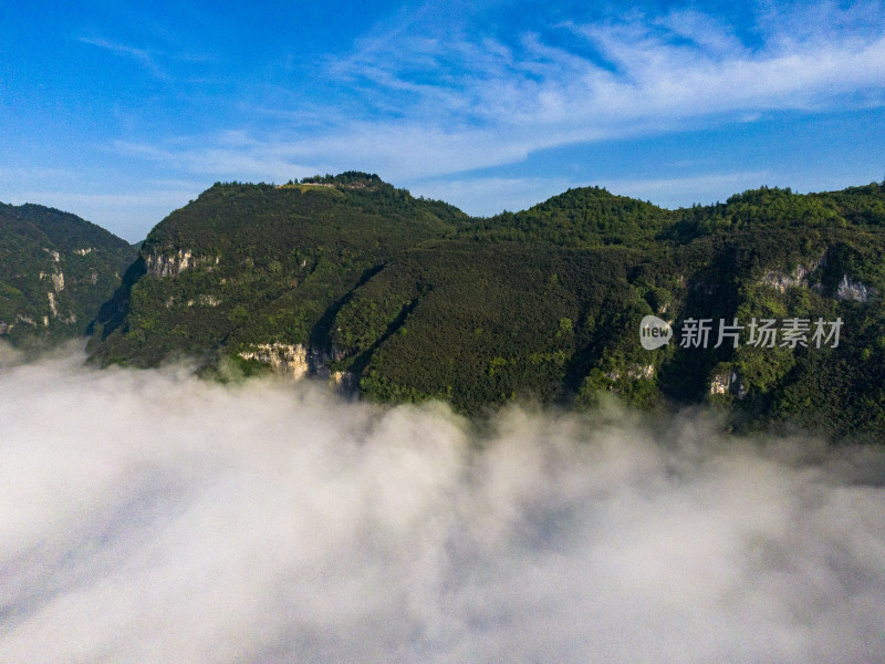 高山云海