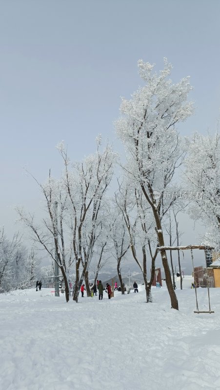 吉林省松花江雪地上的雾凇