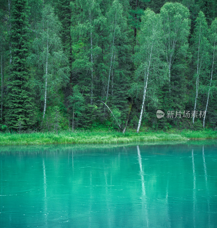 新疆阿勒泰喀纳斯湖景区