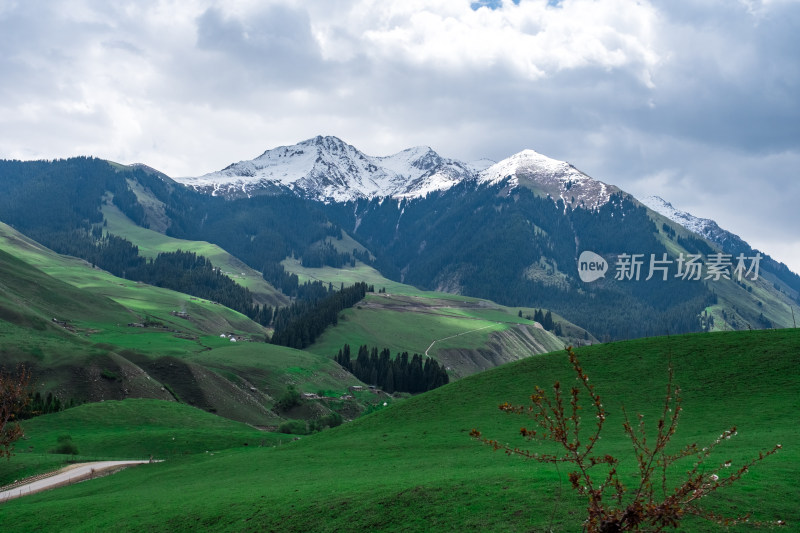 新疆伊犁琼库什台雪山森林草原风光