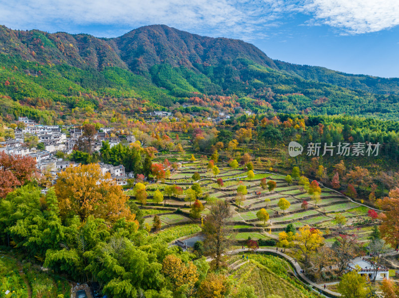 皖南秋色塔川国家森林公园