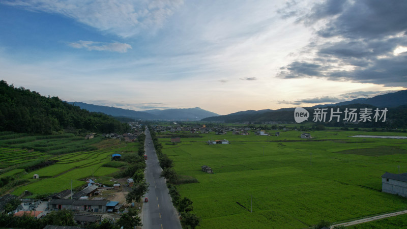 公路两旁绿色的水稻田，晴朗的天空