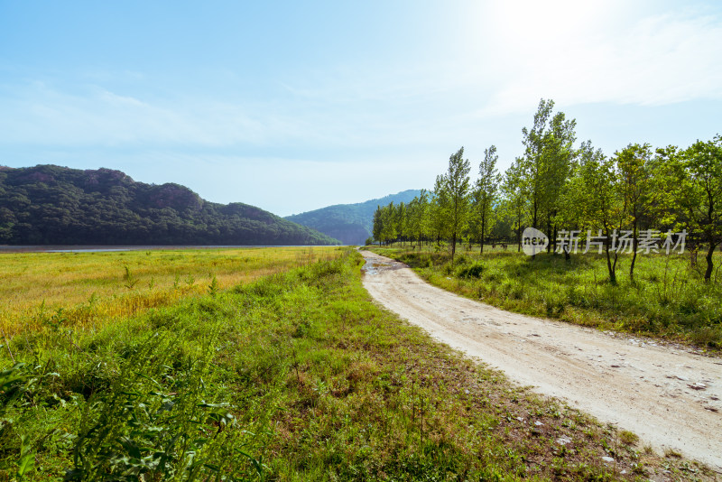 原野上的小土路