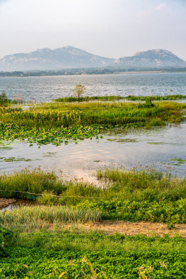 夏天的邹城孟子湖湿地湖泊自然景观