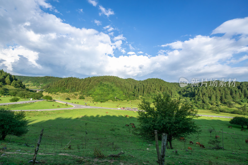 重庆市武隆区仙女山国家森林公园