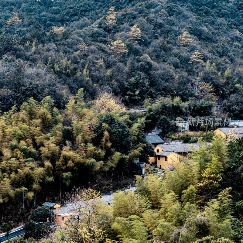 绍兴会稽山山林间的黄墙建筑景观