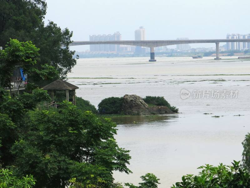 广东东莞：东江鸡心石