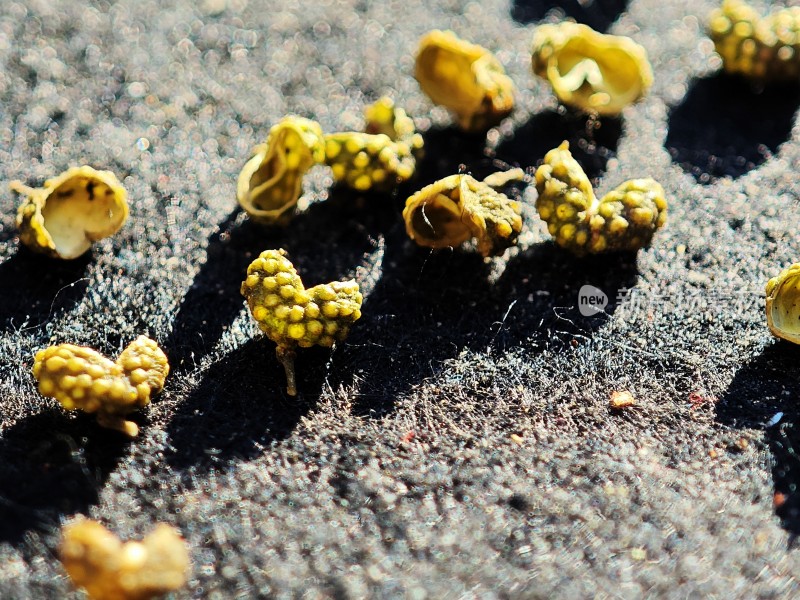 散落的花椒粒特写镜头