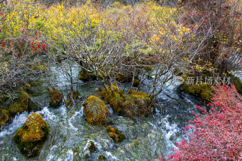 九寨沟秋色，珍珠滩山林清流飞瀑