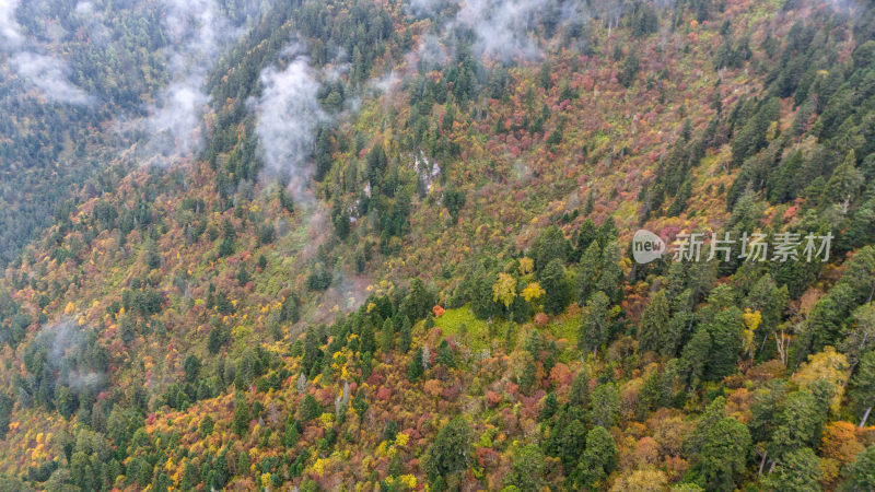 阿坝州黄龙风景名胜区秋色