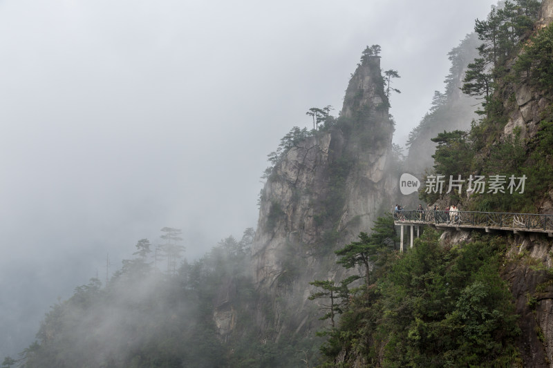 云海中的大明山