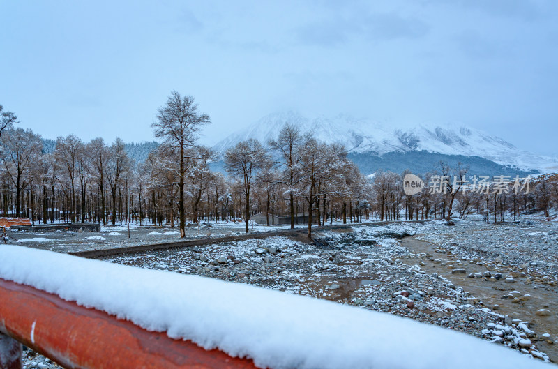 青海海北藏族自治州祁连卓尔山乡村树林雪景