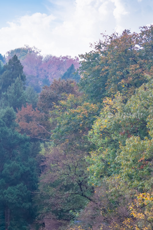 南京钟山风景名胜区明孝陵风景