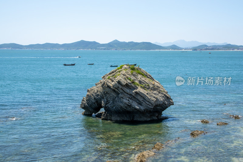 大连金石滩滨海国家地质公园奇石刺猬觅食