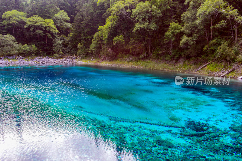 九寨沟的湖泊